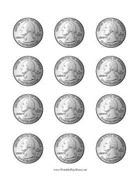 Realistic Quarter